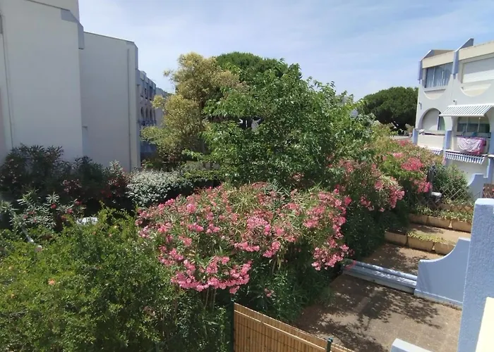 L'effet Apartament Le Grau-du-Roi